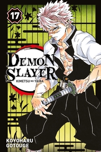 Image de Demon Slayer T17