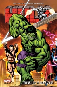 Image de HULK T02