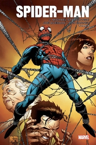 Image de Spider-Man par Straczynski T05