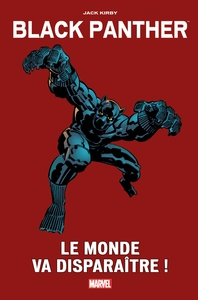 Image de Black Panther : Le monde va disparaître !