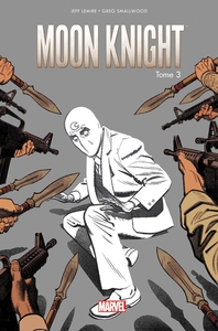 Image de Moon Knight All-new All-different T03
