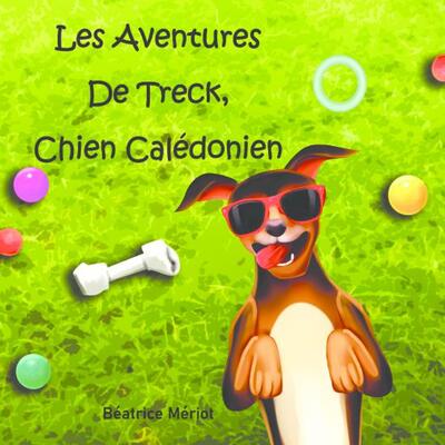 Image de Aventures de Treck, chien calédonien