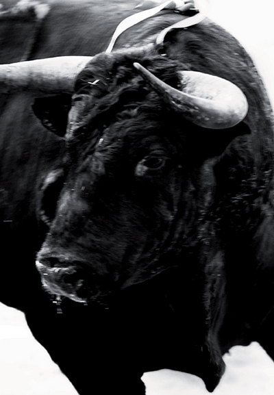 Image de Carlos Cazalis Sangre de Reyes /franCais/anglais