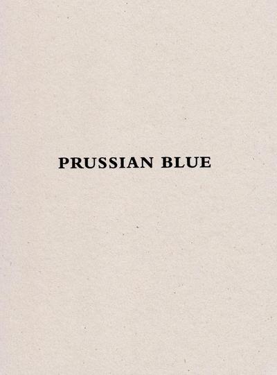 Image de Yishai Jusidman Prussian Blue (catalogue expo MUAC) /anglais