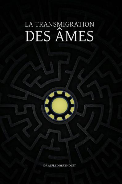 Picture of La transmigration des âmes