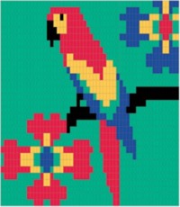 Image de CANEVAS ET CIE - LA MALLETTE A COUSSIN - LE PERROQUET
