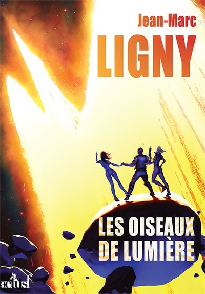 Image de Les oiseaux de lumière