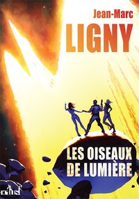 Image de Les oiseaux de lumière