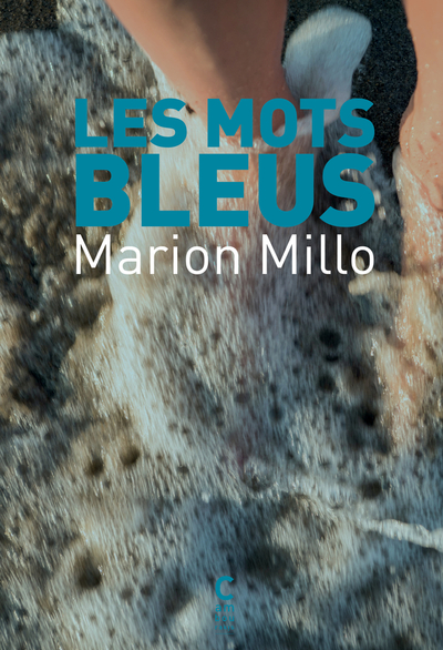 Picture of Les Mots bleus
