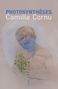 Picture of Photosynthèses