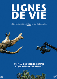 Picture of LIGNES DE VIE