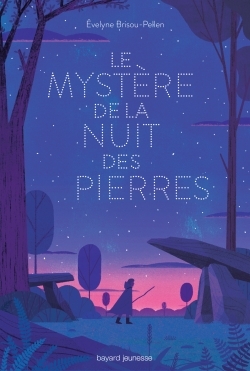 Picture of Le mystère de la nuit des pierres
