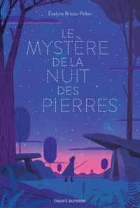 Picture of Le mystère de la nuit des pierres