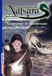 Image de Les dragons de Nalsara, Tome 19