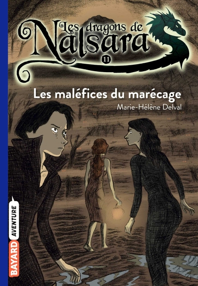 Picture of Les dragons de Nalsara, Tome 11
