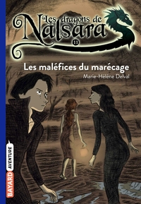 Picture of Les dragons de Nalsara, Tome 11