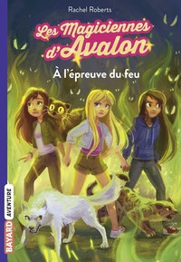 Picture of Les magiciennes d'Avalon, Tome 06