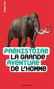Image de Préhistoire, la grande aventure de l'homme