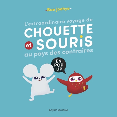Image de L'extraordinaire voyage de Chouette et Souris au pays des contraires