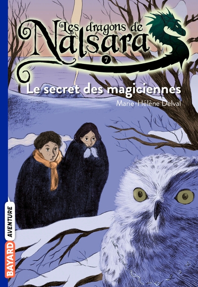 Picture of Les dragons de Nalsara, Tome 07
