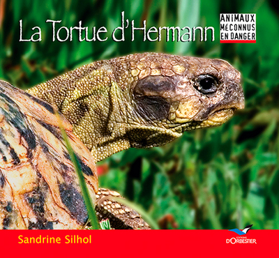 Image de La Tortue D'Hermann