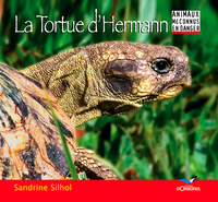 Image de La Tortue D'Hermann