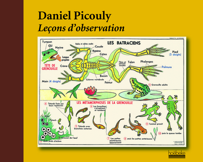 Picture of Leçons d'observation