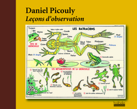 Picture of Leçons d'observation