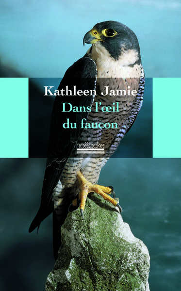 Picture of Dans l'oeil du faucon