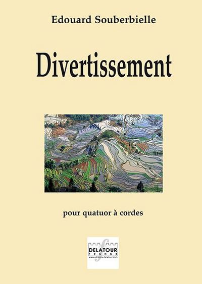 Image de DIVERTISSEMENT POUR QUATUOR A CORDES