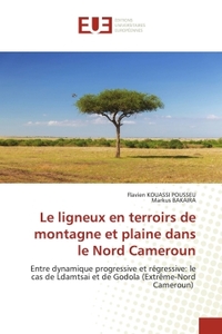 Picture of Le ligneux en terroirs de montagne et plaine dans le Nord Cameroun