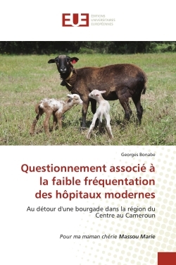 Picture of Questionnement associé à la faible fréquentation des hôpitaux modernes