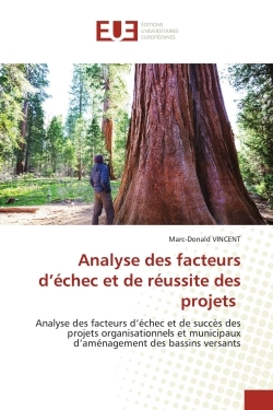 Picture of Analyse des facteurs d'échec et de réussite des projets