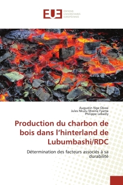 Picture of Production du charbon de bois dans l'hinterland de Lubumbashi/RDC