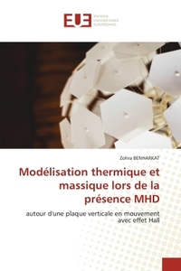 Image de Modélisation thermique et massique lors de la présence MHD