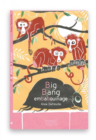 Image de Big bang embabouinage