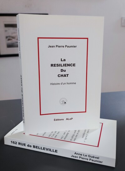 Image de La résilience du chat