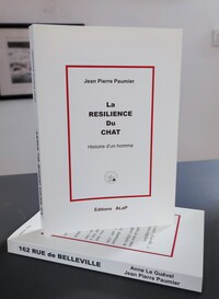 Image de La résilience du chat