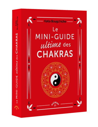 Image de Le Mini-guide ultime des chakras