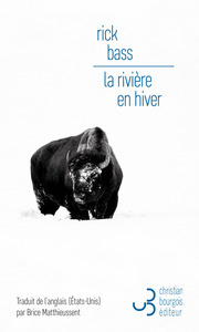 Picture of La rivière en hiver