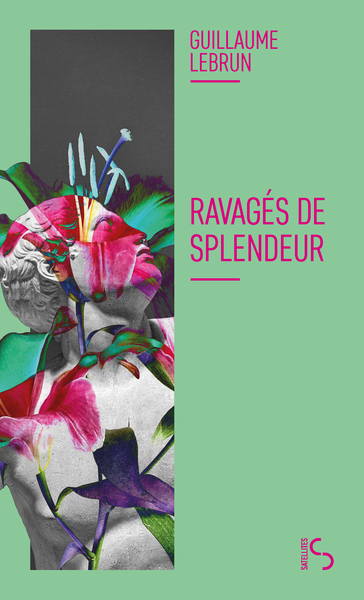 Image de Ravagés de splendeur