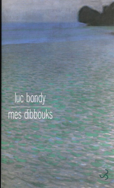 Image de Mes dibbouks