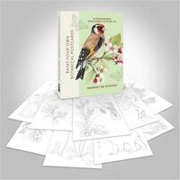 Picture of Paint-Your-Own Botanical Postcards /anglais