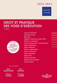 Picture of Droit et pratique des voies d'exécution 2022/2023 10ed