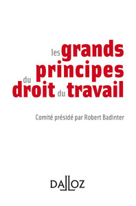Picture of Les grands principes du droit du travail