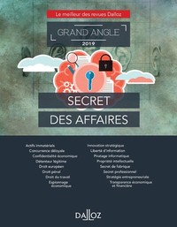 Picture of Secret des affaires - Grand Angle 2019