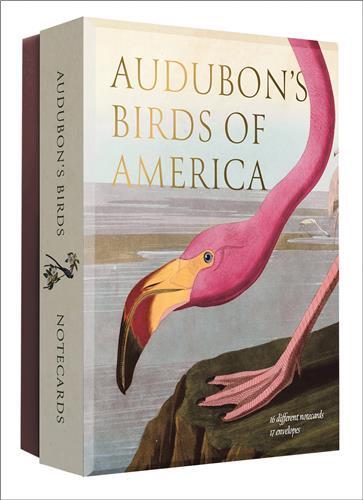 Picture of Audubon's Birds of America - Notecards /anglais