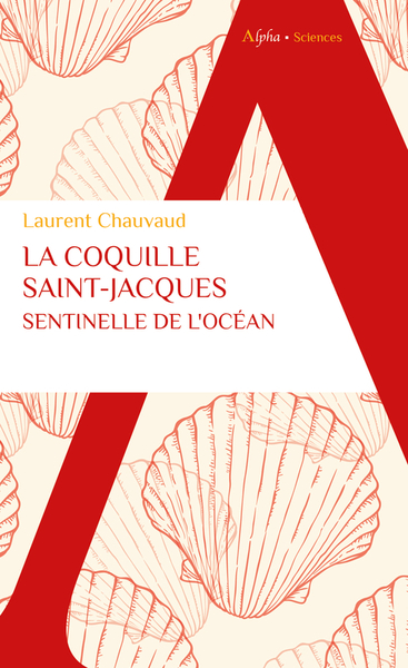 Image de La coquille Saint-Jacques, sentinelle de l’océan