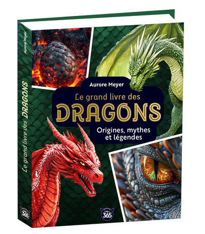 Picture of Mon grand livre des dragons