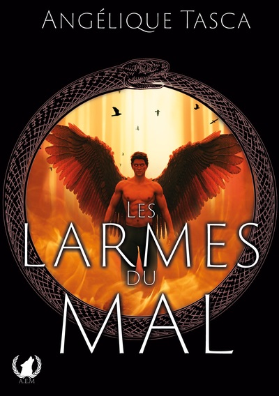 Image de Les larmes du mal